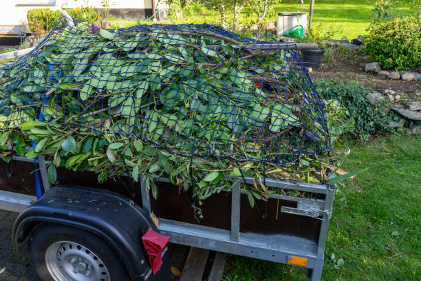 Best Hoarding Cleanup  in Hartford, MI
